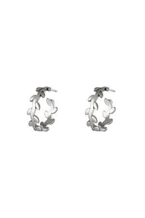 stainless steel earrings laurel wreath hoops  h5 