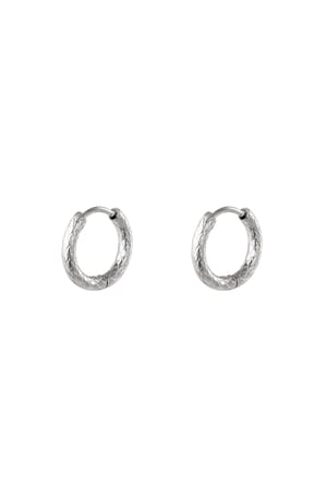 stainless steel hoop earrings h5