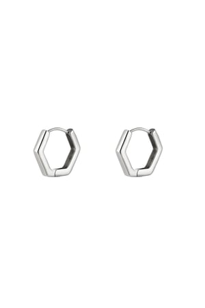 Ohrringe aus Edelstahl Silber h5 