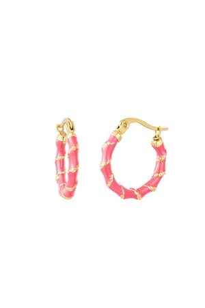 Stainless steel earrings with golden wrap detail Rose h5 
