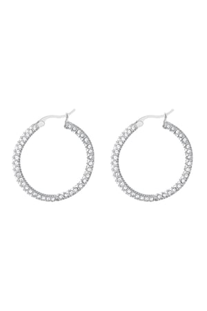 Orecchini tondi con zirconi - grandi Silver Color Stainless Steel h5