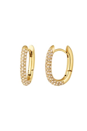 Orecchini ovali con zirconi Gold Stainless Steel h5 