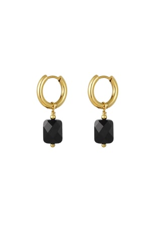 Earrings basic with stone Gold Color Stainless Steel h5 