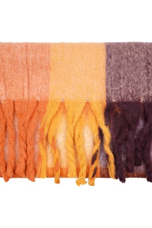 Sciarpa con frange Orange Polyester h5 Immagine3