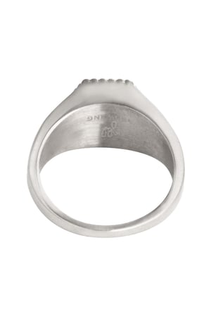 Ring Palm Tree #16 Zilver Stainless Steel h5 Afbeelding4
