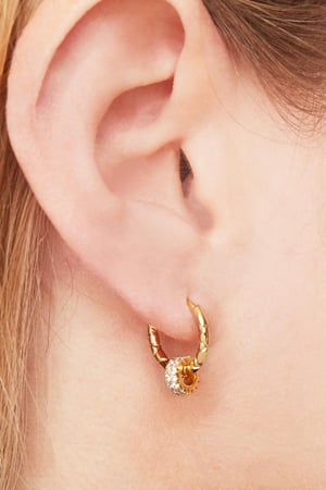 Boucles d'oreilles Shiny Wheels Cuivré h5 Image2