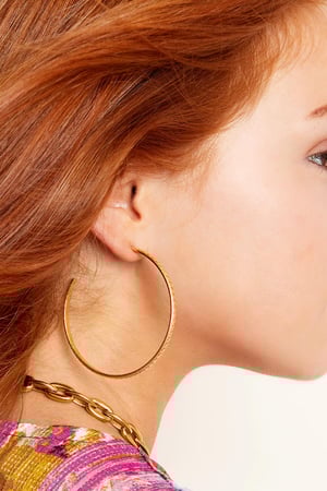 Boucles d'oreilles créoles en acier inoxydable h5 Image3
