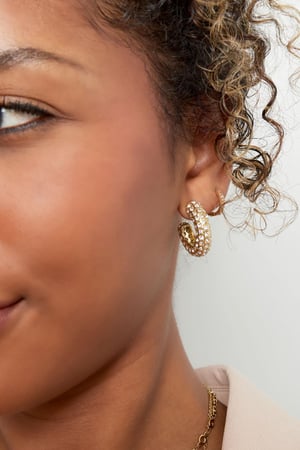 Ear studs zircon Silver Color Stainless Steel h5 Picture4