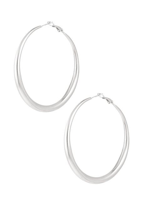 Basic earrings with variety - Silver Color color 2