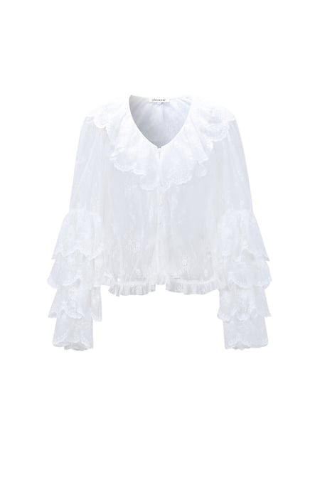 The Charming Blouse 2