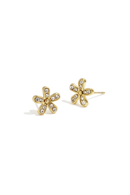 Stainless Steel Stud Earrings Flower Simple Daily Simple Series Women's jewelry 2