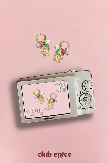 Stainless Steel Drop Earrings Flower Casual Daily Romantic Series Women's jewelry