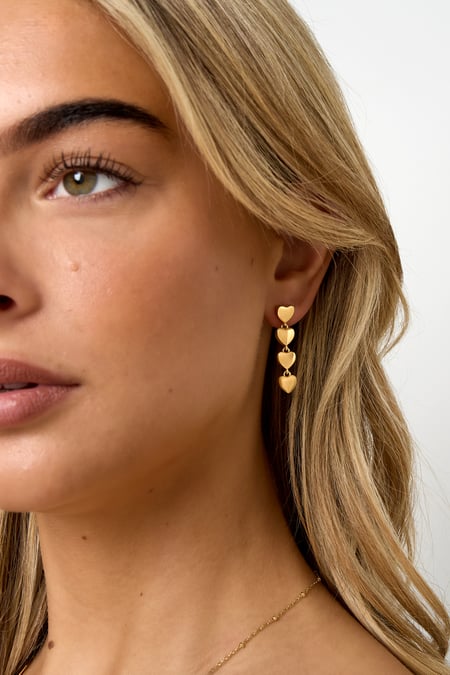 Stainless Steel Dangle Earrings Heart Casual Daily Simple Series Women's jewelry