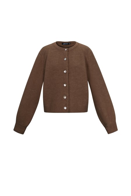 Strickjacke 2