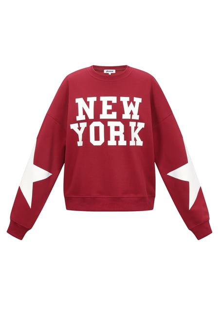 New York sweater with star 2