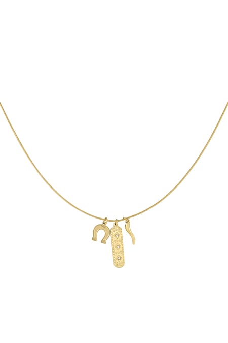 lucky hoof necklace 2