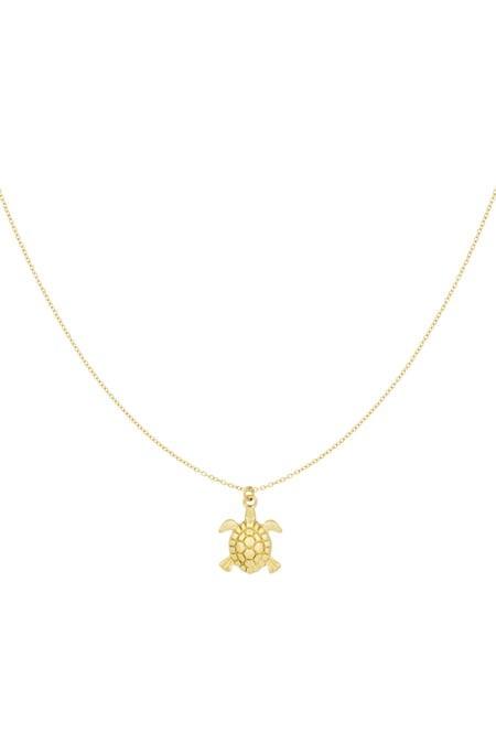turtle tides ketting 2