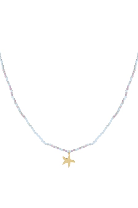 Ketting kleurrijke zeester 2