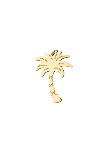 charm palm tree