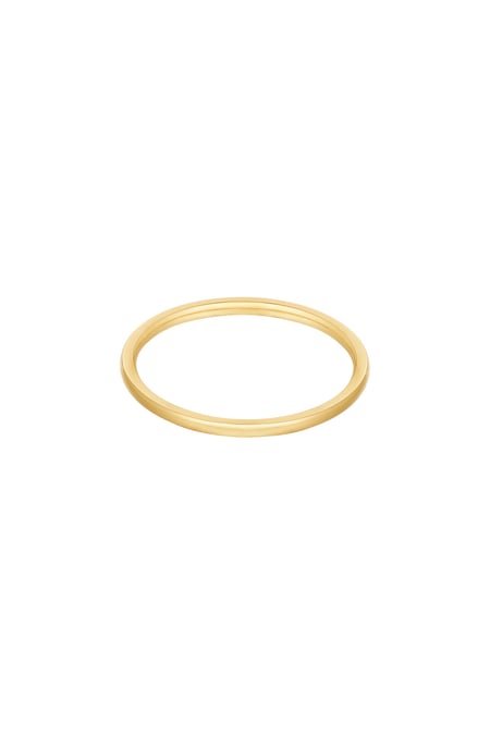 ring minimalist 2