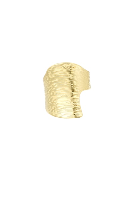 Ring asymmetrisch Must  2