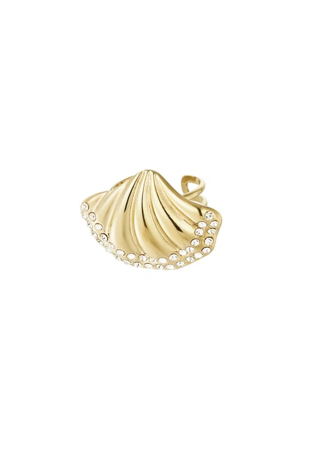 Ring Muschel schimmer  2