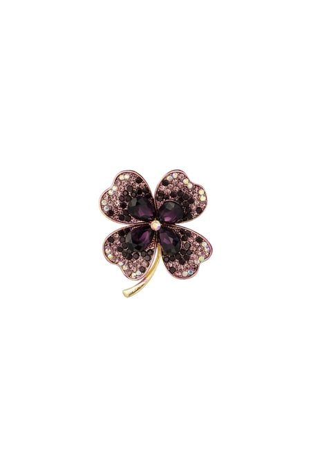 Luck brooch 2