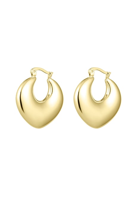 Chucky hoop earrings Goud kleur Stainless Steel 2