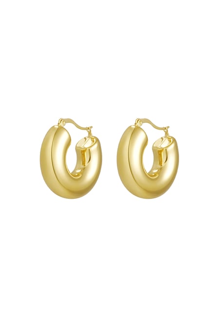 earrings round thick 2