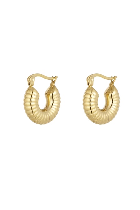 oorbellen aesthetic rond klein 2