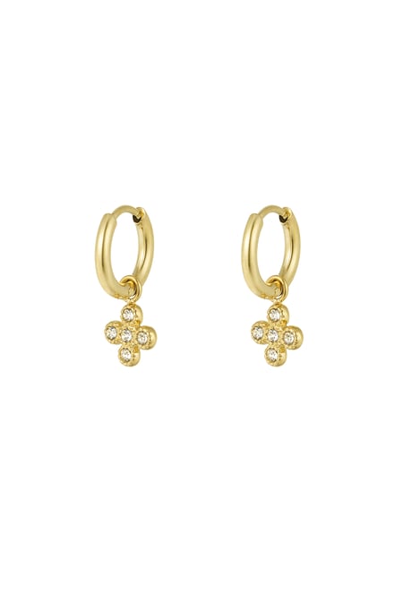 earrings clover class 2