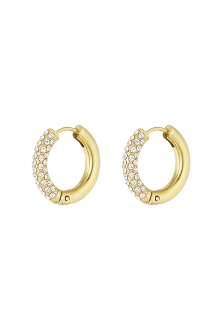 Shiny Rings earrings 2