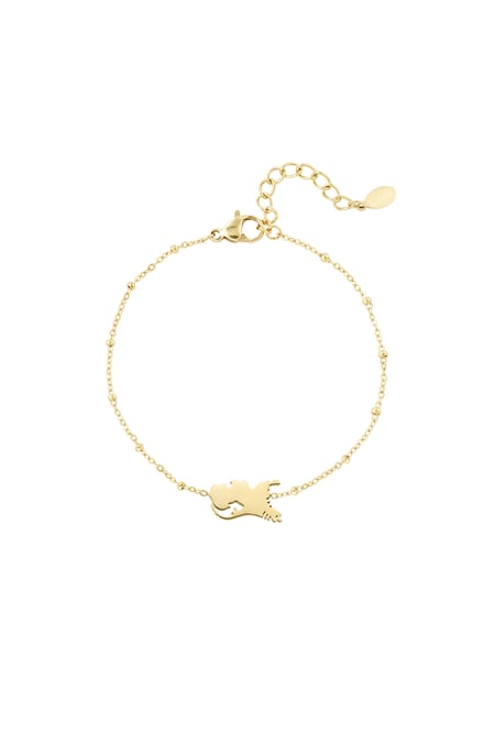 bracelet pays-bas 2
