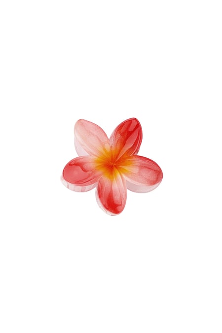 Pasador para el pelo Sueño hawaiano 2