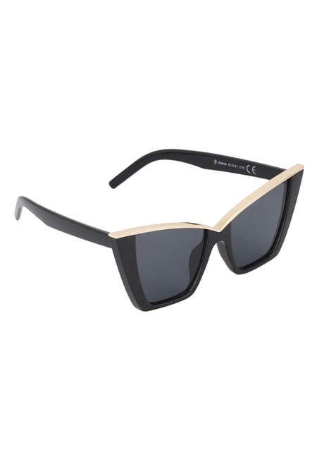 Schicke Sonnenbrille 2