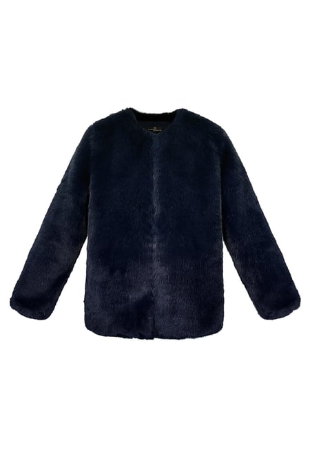 Faux fur coat 2