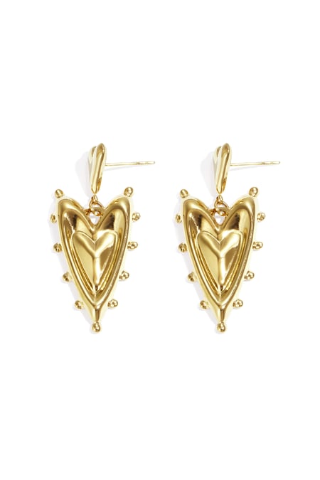 Paslanmaz Çelik Sallantılı Küpe Kalp Şeklinde Günlük Sade Seri Kadın Takıları 2