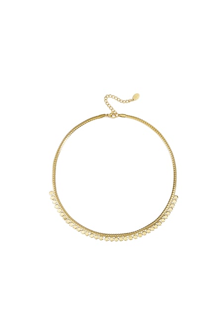 Coin chain - Stainless Steel 2