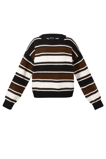 Polyester fiber (polyester) Knit sweaters Stripes Casual Fall/Winter  Clothes 2