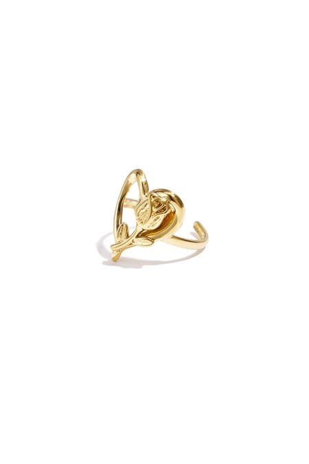 Ring with rose on heart 2