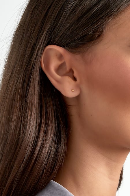 Earrings Small Dot Gold Color Stainless Steel