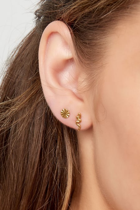 Bouchon d'oreille serpent - argent Acier Inoxydable