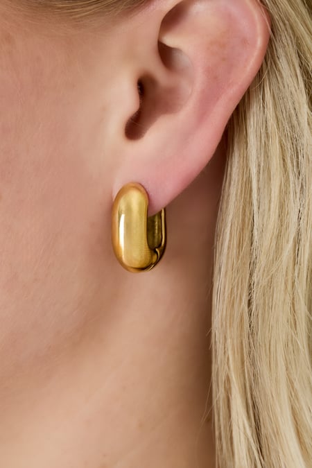 Hoop Earrings irregular shape rectangle Casual Daily Simple Series Women's jewelry
