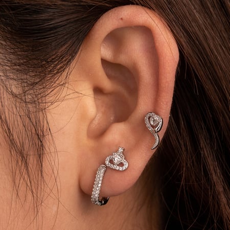 1 Piece Simple Series Classic Animal Copper No Plating Material Zircon Women Stud Earrings 2