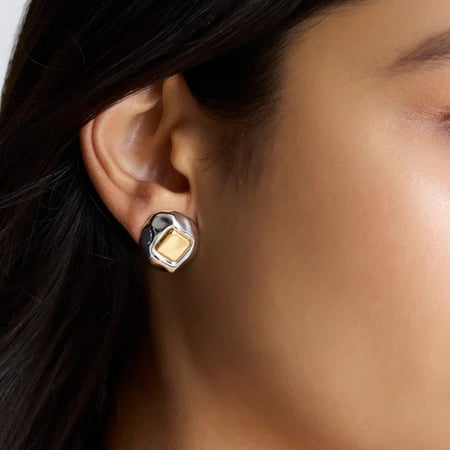 1 Pair Simple Stainless Steel Gold & Sliver Mixed Color Women's Stud Earrings 2