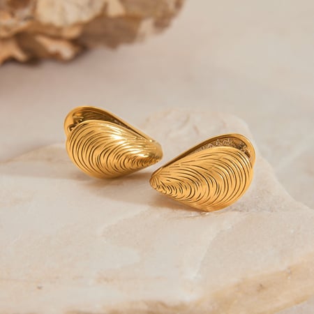 Clam Shell Stainless Steel Gold Color Stud Earrings 2