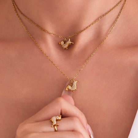 Ensemble de bijoux pour femme en acier inoxydable et zircon couleur or, motif teckel mignon