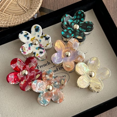 1 Piece MIni Sweet Gradient Color Acetate Women's Hair Claws 2