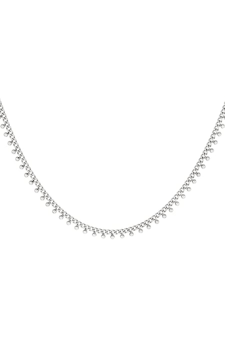 Roestvrijstalen ketting stippen Zilver Stainless Steel 2