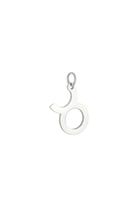 Cazibe Burcu Boğa Silver Color Stainless Steel 2